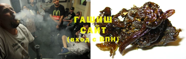 индика Магас