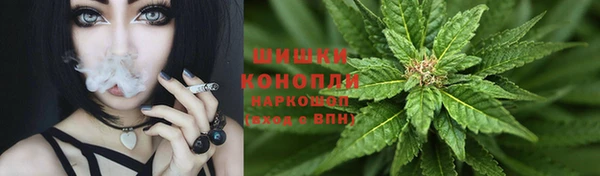 ПСИЛОЦИБИНОВЫЕ ГРИБЫ Майский