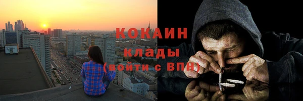 индика Магас