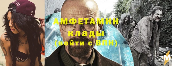 индика Магас