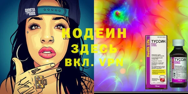 индика Магас
