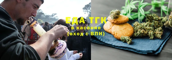 индика Магас