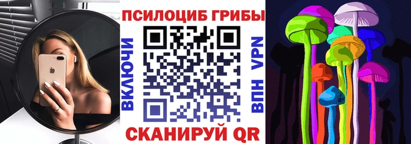 как найти закладки  Чусовой  Галлюциногенные грибы мицелий 