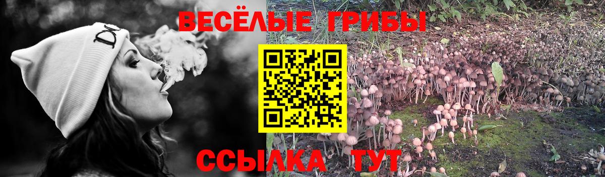 Псилоцибиновые грибы GOLDEN TEACHER  закладка  Псилоцибиновые грибы мицелий  Чусовой  Вход с VPN 